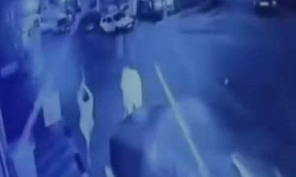 İzmir'de köpeğe sopalı saldırı!